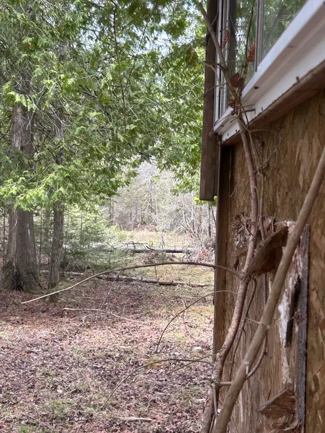 MANITOULIN DEER HUNTING PROPERTY - Photo 3