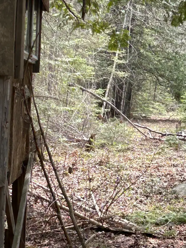 MANITOULIN DEER HUNTING PROPERTY - Photo 4