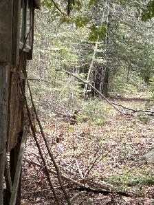 MANITOULIN DEER HUNTING PROPERTY - Photo 4