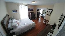 Dufferin Grove apartment in house, with two bedrooms, maybe 3! - Photo 4
