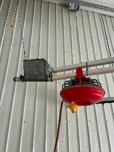 Chicken feed and water line