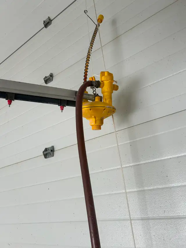 Chicken feed and water line - Photo 2