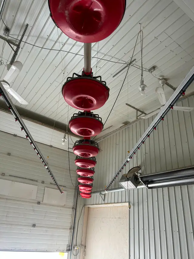 Chicken feed and water line - Photo 3
