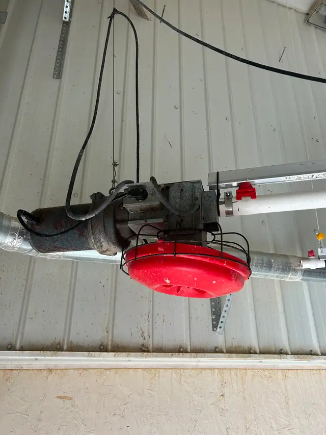 Chicken feed and water line - Photo 4