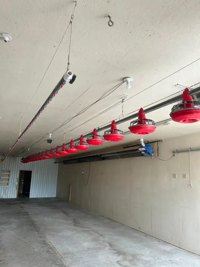 Chicken feed and water line - Photo 9