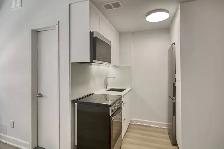 Renovated Studio apartment near blvd Saint-Laurent - ID 1452