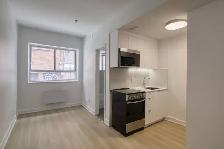 Renovated Studio apartment near blvd Saint-Laurent - ID 1452 - Photo 2