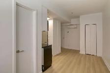 Renovated Studio apartment near blvd Saint-Laurent - ID 1452 - Photo 3