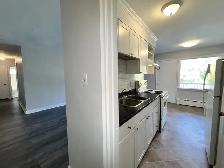 Fantastic Location - 2 Bed, 1 Bath 2nd Floor Unit - Photo 4