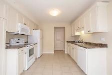 17 Flynn Court, St. Catharines - All Inclusive 3 Bedroom Main - Photo 9