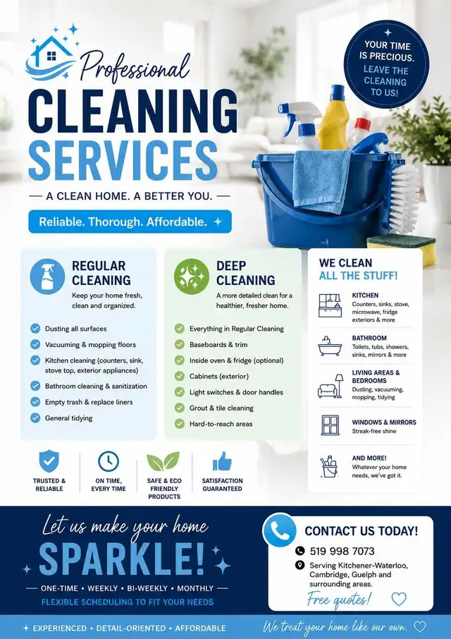 Professional Cleaning services