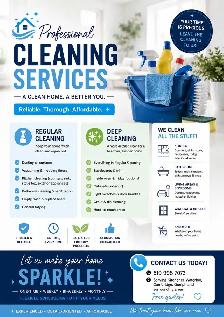 Professional Cleaning services