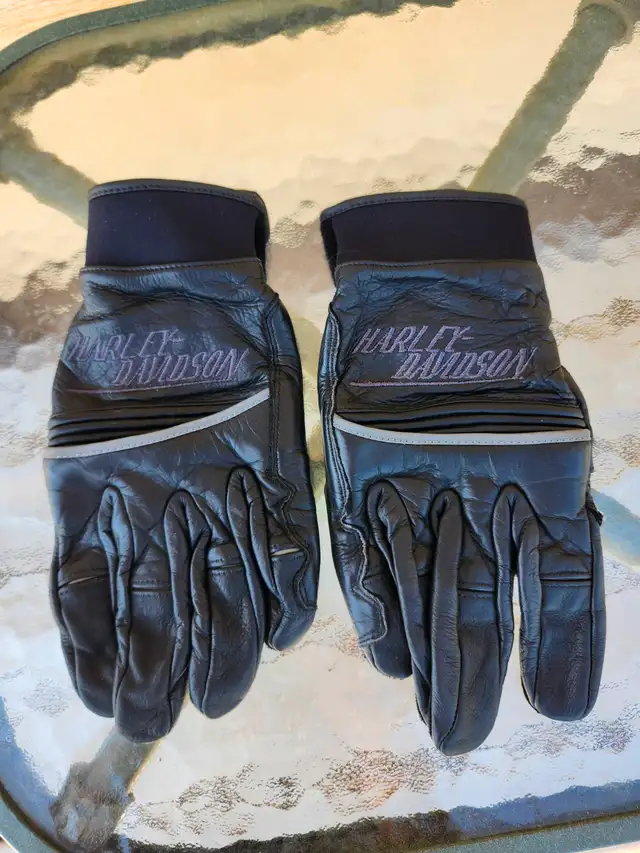 MOTORCYCLE ACCESSORIES / CHAPS GLOVES HELMETS ETC. - Photo 10