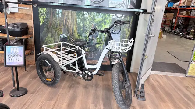 REFURBISHED T4B Carriage Fat Tire Trike 500 Watt Electric Bike