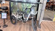 REFURBISHED T4B Carriage Fat Tire Trike 500 Watt Electric Bike