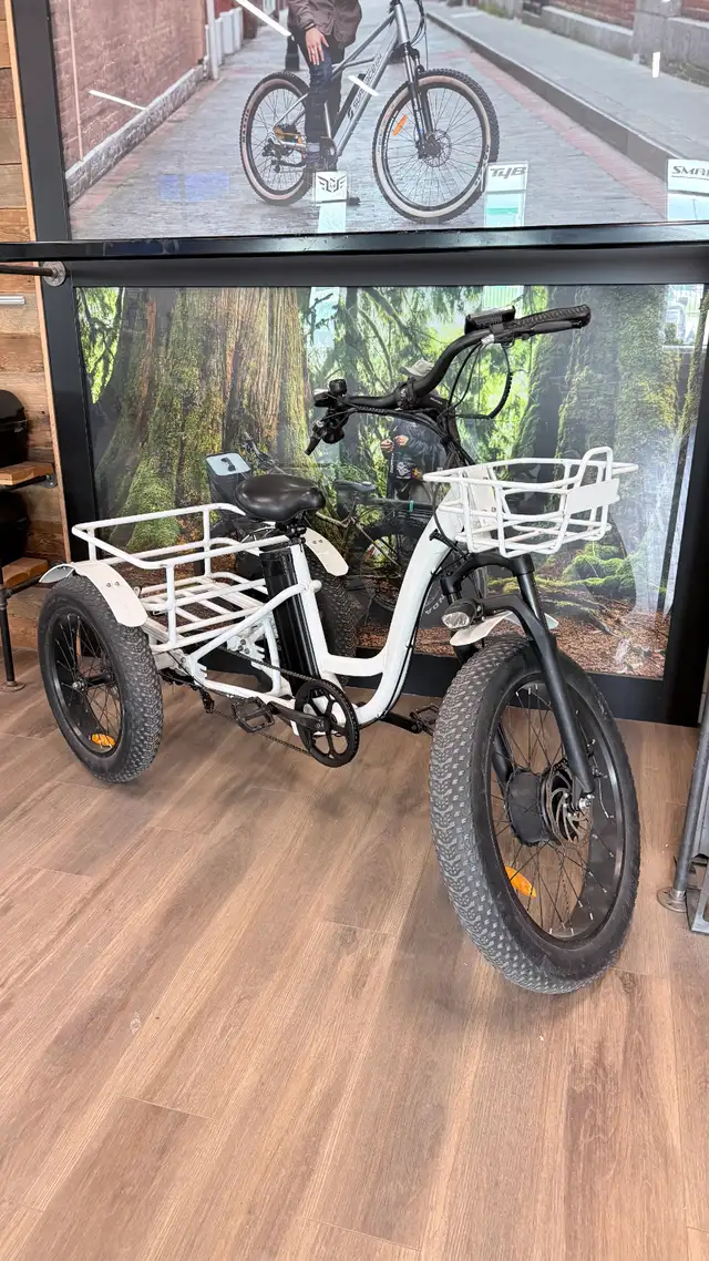 REFURBISHED T4B Carriage Fat Tire Trike 500 Watt Electric Bike - Photo 2
