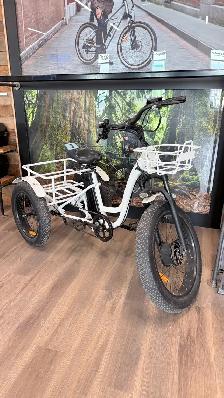 REFURBISHED T4B Carriage Fat Tire Trike 500 Watt Electric Bike - Photo 2