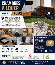 Chambres modernes à louer