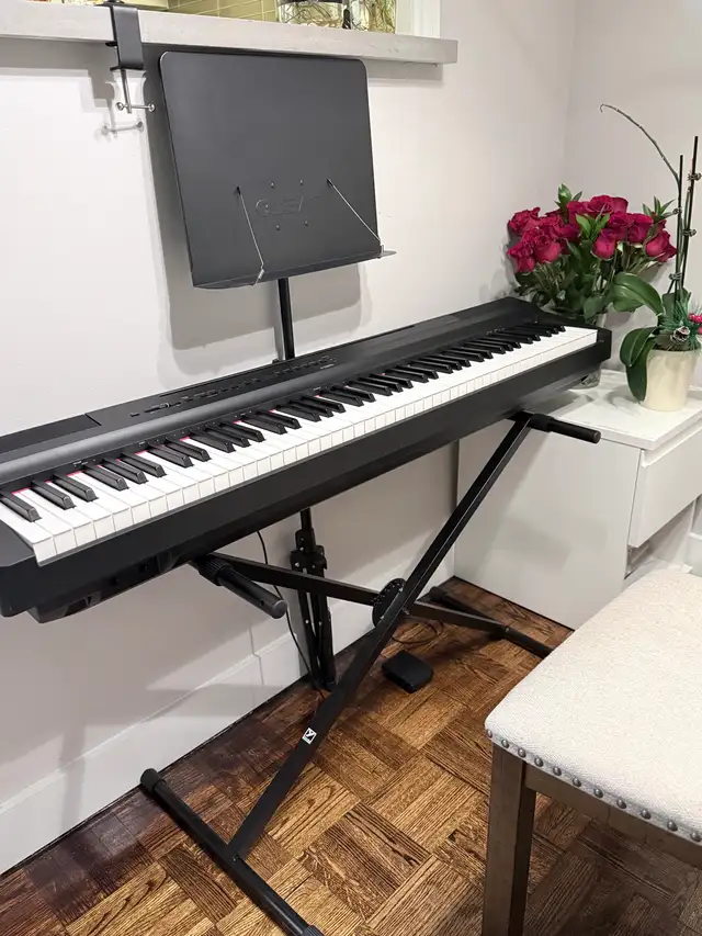 North York piano Lessons (RCM Certified)