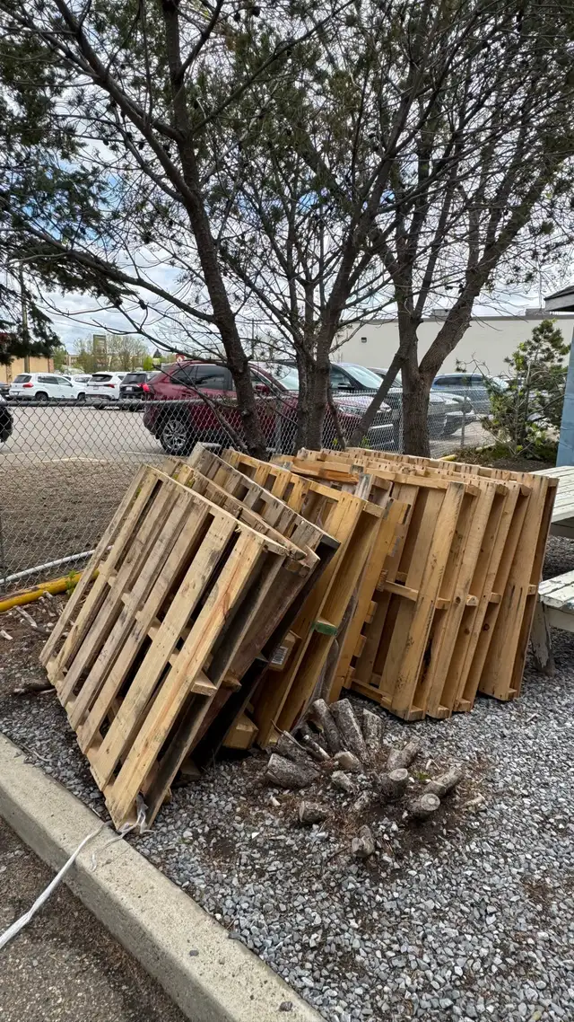 free wood pallets