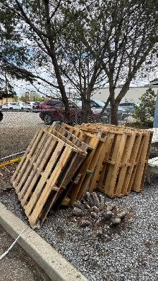 free wood pallets