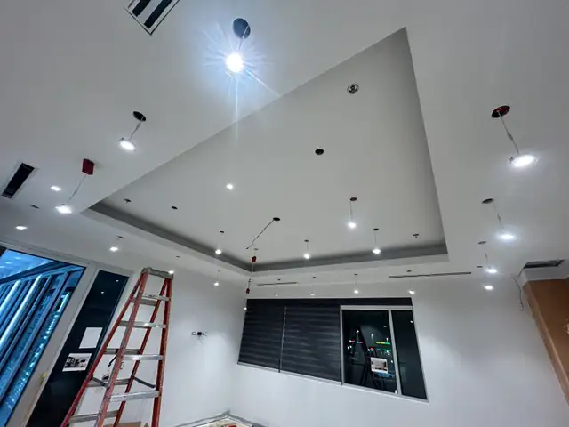 panel upgrade/ legal basement/pot lights - Photo 4