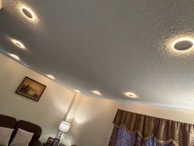 panel upgrade/ legal basement/pot lights - Photo 5