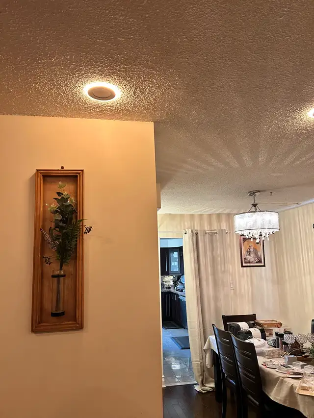 panel upgrade/ legal basement/pot lights - Photo 6