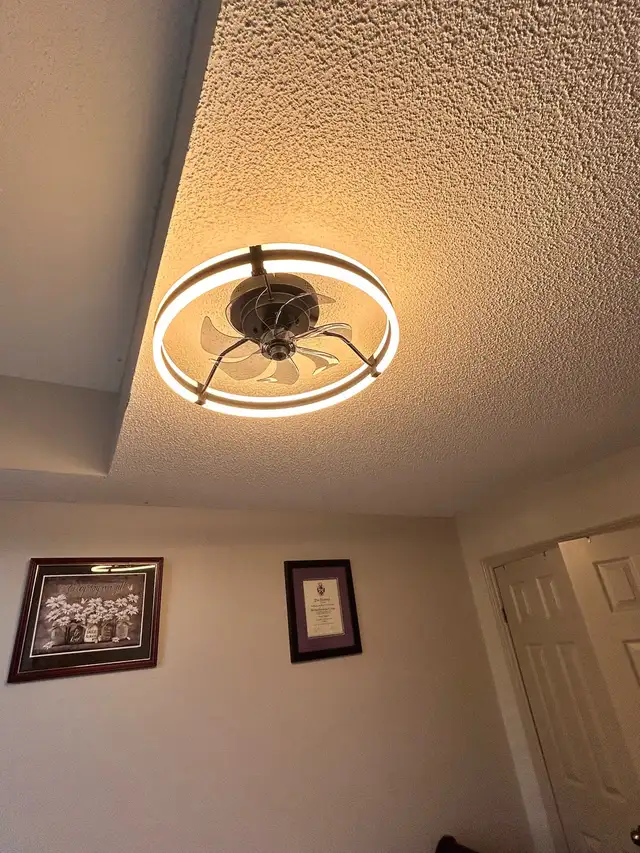 panel upgrade/ legal basement/pot lights - Photo 7