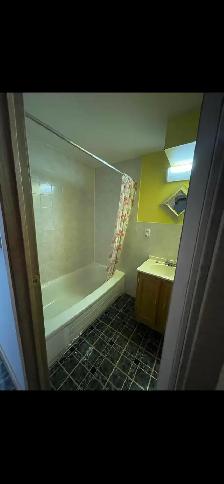 2 bedroom Basement on Rent from 1 July - Photo 3