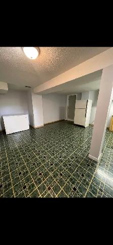 2 bedroom Basement on Rent from 1 July - Photo 6
