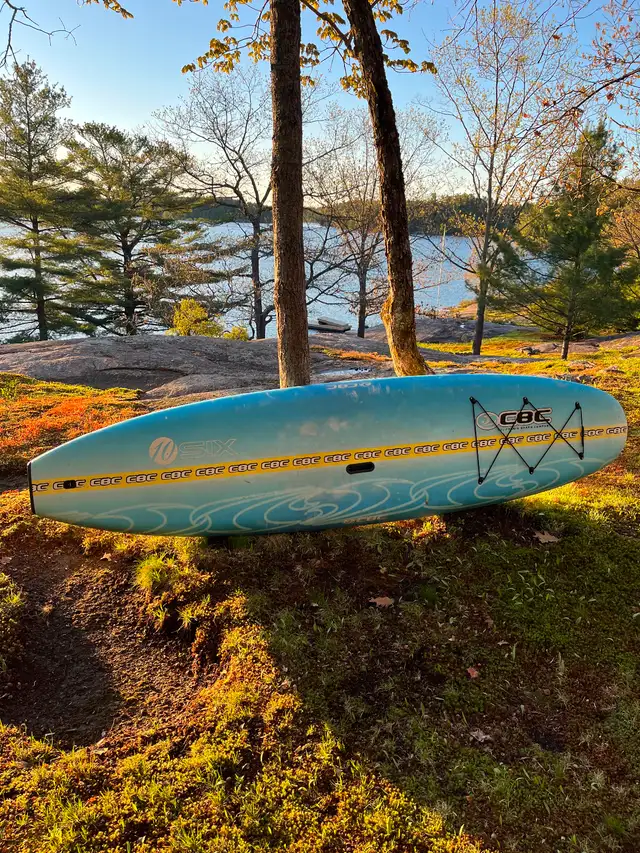 Paddle board for sale