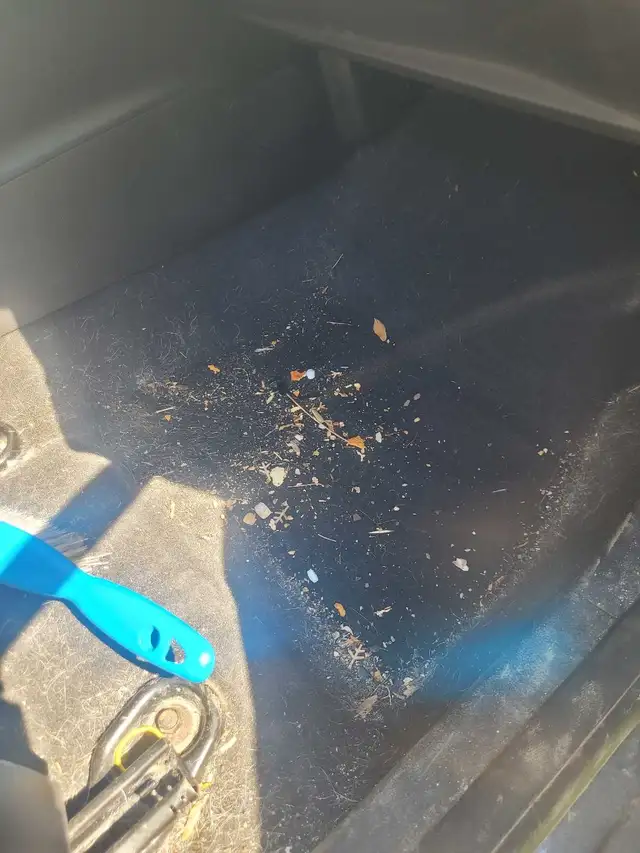 car cleaning