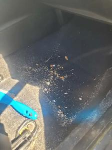 car cleaning