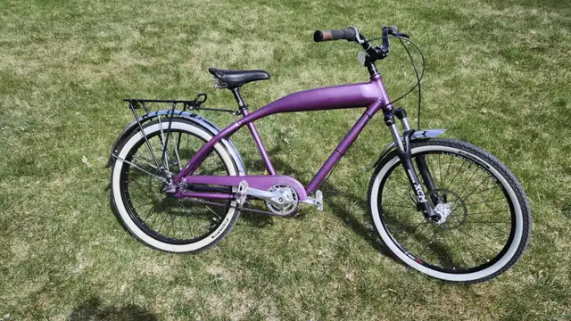 Custom built cruiser
