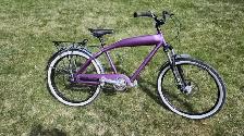 Custom built cruiser