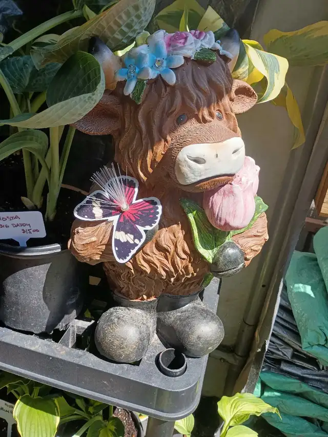 Plants and More! - Photo 4