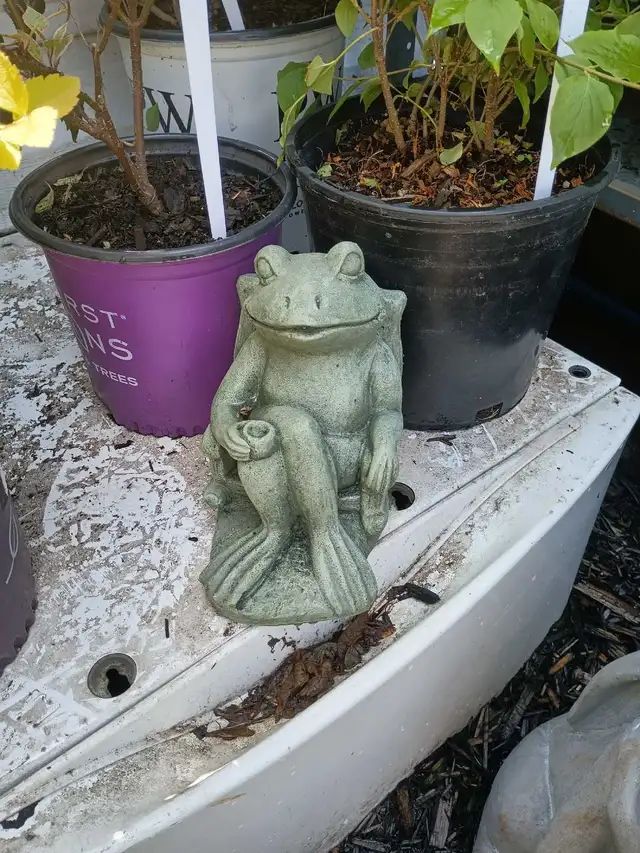 Plants and More! - Photo 6