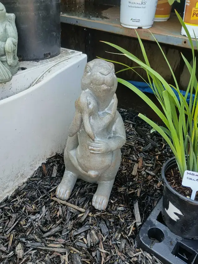 Plants and More! - Photo 7