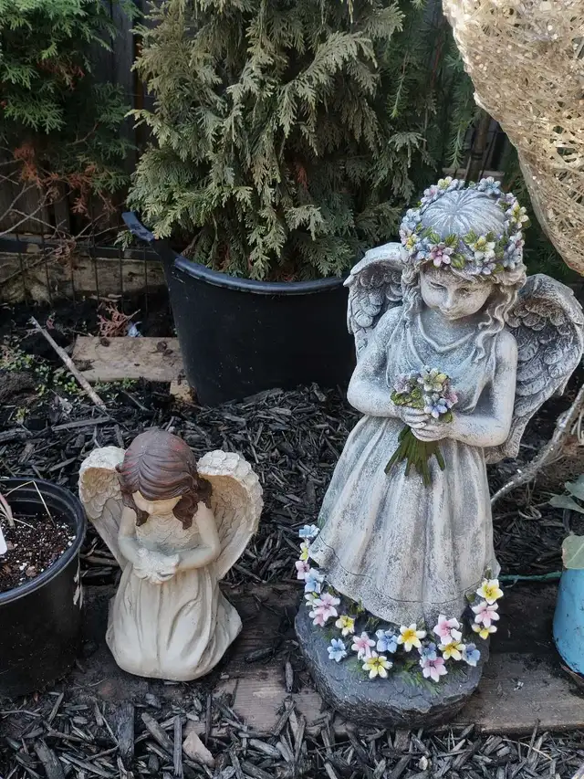 Plants and More! - Photo 8