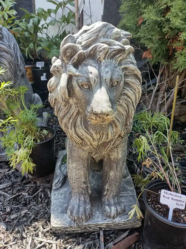 Plants and More! - Photo 9