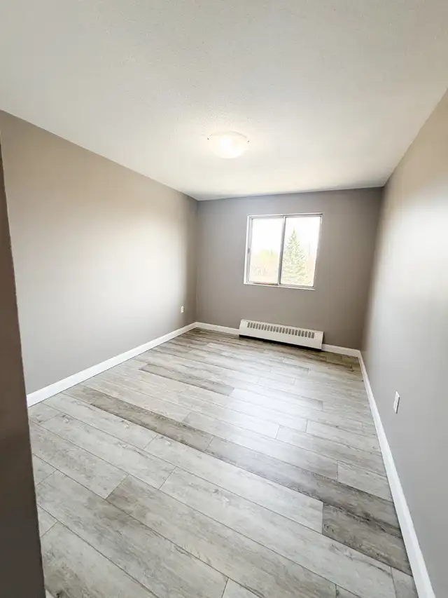 2 Bedroom 1 Bathroom Apartment For Rent - Photo 5