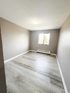 2 Bedroom 1 Bathroom Apartment For Rent - Photo 5