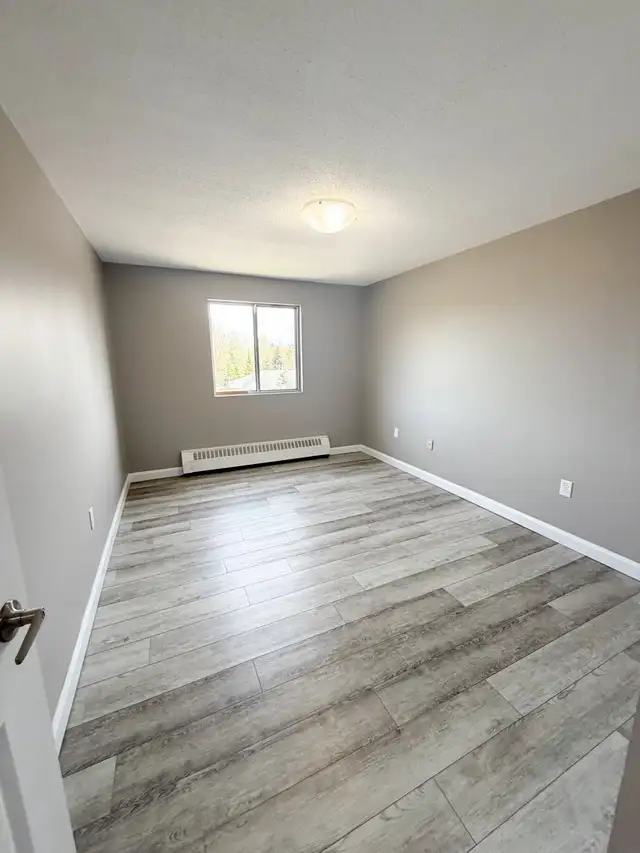 2 Bedroom 1 Bathroom Apartment For Rent - Photo 7