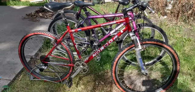 NORCO RS Sasquatch 525 REYNOLDS CHROME-MOLY $350 - Photo 3