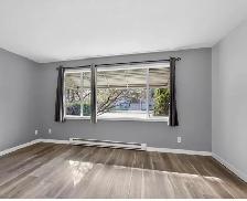 Two bedroom home with double garage for rent - Photo 5