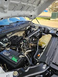 2020 Ford F-150 XL - Photo 10