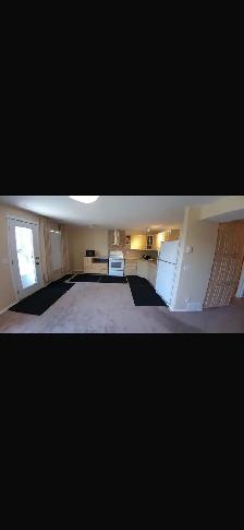 Basement Suite for Rent (Rocky Ridge NW) - Photo 5