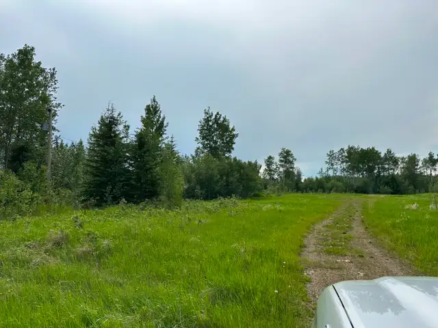 Secluded acreage for rent in Manning area - Photo 2