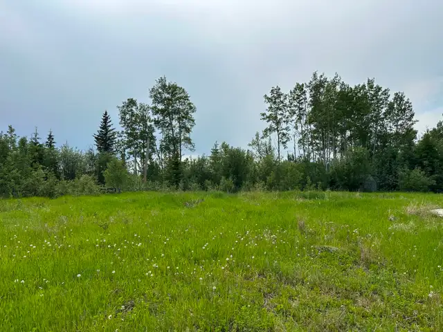 Secluded acreage for rent in Manning area - Photo 3